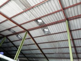  Warehouse for rent in AsiaVillas, Suan Luang, Bangkok, Thailand