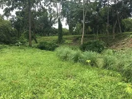  Land for sale in Hang Dong, Chiang Mai, Nam Phrae, Hang Dong