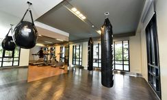 图片 3 of the Communal Gym at Maestro 02 Ruamrudee