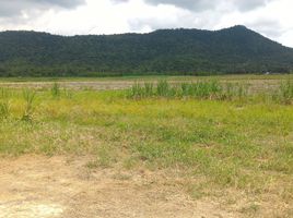  Land for sale in Si Satchanalai, Sukhothai, Si Satchanalai, Si Satchanalai