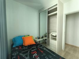 2 Schlafzimmer Appartement zu vermieten im Noble Revolve Ratchada, Huai Khwang, Huai Khwang, Bangkok, Thailand