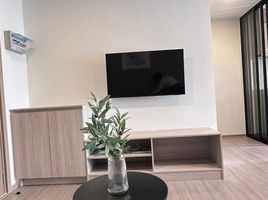 1 Bedroom Condo for rent at THE BASE Bukit, Wichit, Phuket Town, Phuket