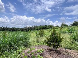  Grundstück zu verkaufen in Bo Rai, Trat, Nong Bon