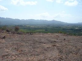  Land for sale in El Harino, La Pintada, El Harino