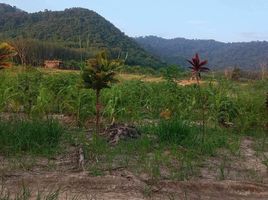  Grundstück zu verkaufen in Khao Chamao, Rayong, Huai Thap Mon