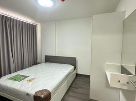 1 Schlafzimmer Wohnung zu verkaufen im D Vieng Santitham, Chang Phueak