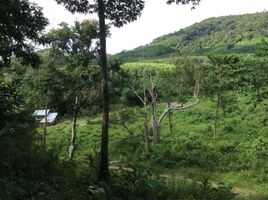  Grundstück zu verkaufen in Ko Lanta, Krabi, Ko Lanta Yai