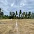  Land for sale in Surat Thani, Maenam, Koh Samui, Surat Thani