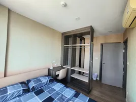 1 Bedroom Condo for rent at The Nest Sukhumvit 64, Bang Chak, Phra Khanong, Bangkok, Thailand