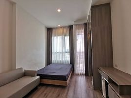 1 Schlafzimmer Wohnung zu verkaufen im Knightsbridge Collage Ramkhamhaeng, Hua Mak