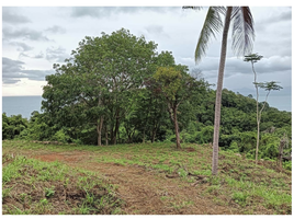  Land for sale in Surat Thani, Maenam, Koh Samui, Surat Thani