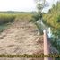 Grundstück zu verkaufen in Bueng Samakkhi, Kamphaeng Phet, Thep Nimit, Bueng Samakkhi, Kamphaeng Phet
