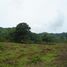  Land for sale in Chame, Panama Oeste, Sora, Chame
