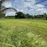 ขายที่ดิน ใน ภูปอ, กาฬสินธุ์, ภูปอ, เมืองกาฬสินธุ์, กาฬสินธุ์