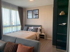 1 Schlafzimmer Appartement zu vermieten im Dcondo Hideaway-Rangsit, Khlong Nueng, Khlong Luang