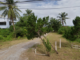  Grundstück zu verkaufen in Bang Saphan, Prachuap Khiri Khan, Thong Chai, Bang Saphan