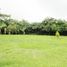  Land for sale in San Ramon, Alajuela, San Ramon