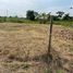  Land for sale in Mueang Saraburi, Saraburi, Nong No, Mueang Saraburi