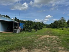  Grundstück zu verkaufen in Thalang, Phuket, Thep Krasattri