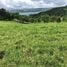  Land for sale in Guanacaste, Tilaran, Guanacaste