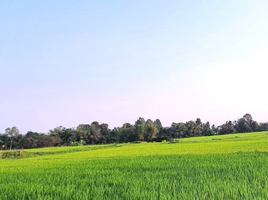  Land for sale in Bueng Wichai, Mueang Kalasin, Bueng Wichai