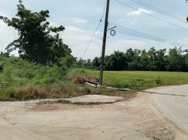  Grundstück zu verkaufen in Banphot Phisai, Nakhon Sawan, Ban Daen