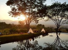 2 Schlafzimmer Haus zu verkaufen in Pai, Mae Hong Son, Wiang Nuea