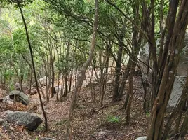  Grundstück zu verkaufen in Koh Phangan, Surat Thani, Koh Tao, Koh Phangan