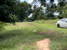  Land for sale in Khon Kaen, Mueang Roi Et, Khon Kaen