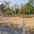  Land for sale in San Kamphaeng, San Kamphaeng, San Kamphaeng