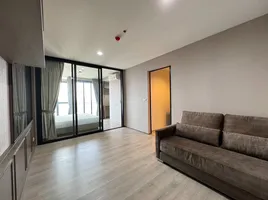 1 Bedroom Condo for rent at The Line Phahonyothin Park, Chomphon, Chatuchak, Bangkok, Thailand