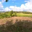  Grundstück zu verkaufen in Ngao, Chiang Rai, Ngao