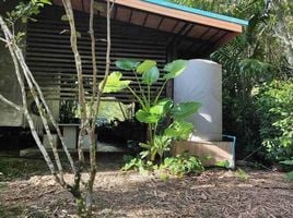  Земельный участок for sale in Phanom Сураттани, Phanom, Phanom, Сураттани, Таиланд