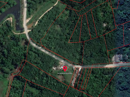  Land for sale in Mueang Narathiwat, Narathiwat, Manang Tayo, Mueang Narathiwat