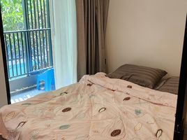 1 Schlafzimmer Appartement zu vermieten im Kave TU, Khlong Nueng