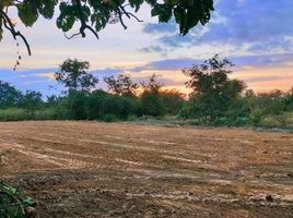  Grundstück zu verkaufen in Mueang Lamphun, Lamphun, Makhuea Chae