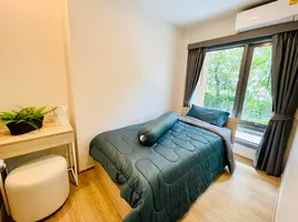 2 Schlafzimmer Wohnung zu vermieten im Phyll Phuket by Central Pattana, Wichit, Phuket Town