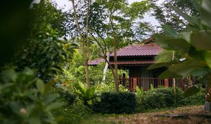 8 Bedrooms Villa for sale in Nang Lae, Chiang Rai 