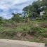  Land for sale in Phuket Town Phuket, Chalong