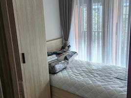 2 Bedroom Condo for rent at The Muve Bangna, Bang Na