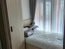 2 Schlafzimmer Wohnung zu vermieten im The Muve Bangna, Bang Na