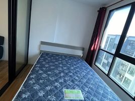 1 Bedroom Condo for rent at Kensington Laemchabang-Sriracha, Thung Sukhla, Si Racha, Chon Buri, Thailand