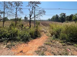  Land for sale in Loei, Khok Ngam, Dan Sai, Loei