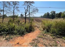  Grundstück zu verkaufen in Dan Sai, Loei, Khok Ngam, Dan Sai, Loei