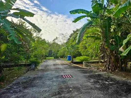 1 Schlafzimmer Haus zu vermieten in Thep Krasattri, Thalang, Thep Krasattri