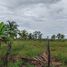  Land for sale in Presidente Figueiredo, Amazonas, Presidente Figueiredo, Presidente Figueiredo