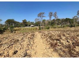  Land for sale in Dan Sai, Loei, Khok Ngam, Dan Sai