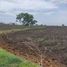  Land for sale in Raisen, Madhya Pradesh, Goharganj, Raisen