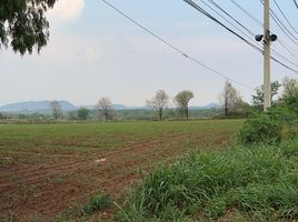  Land for sale in Nakhon Ratchasima, Pong Ta Long, Pak Chong, Nakhon Ratchasima