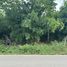  Land for sale in Ratchaburi, Ang Hin, Pak Tho, Ratchaburi